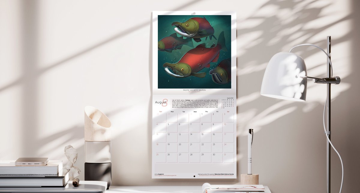 Elaine Chen ☘️ tweet media