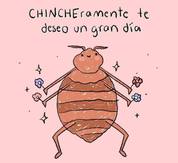 ¡Buen día! 
#Feli