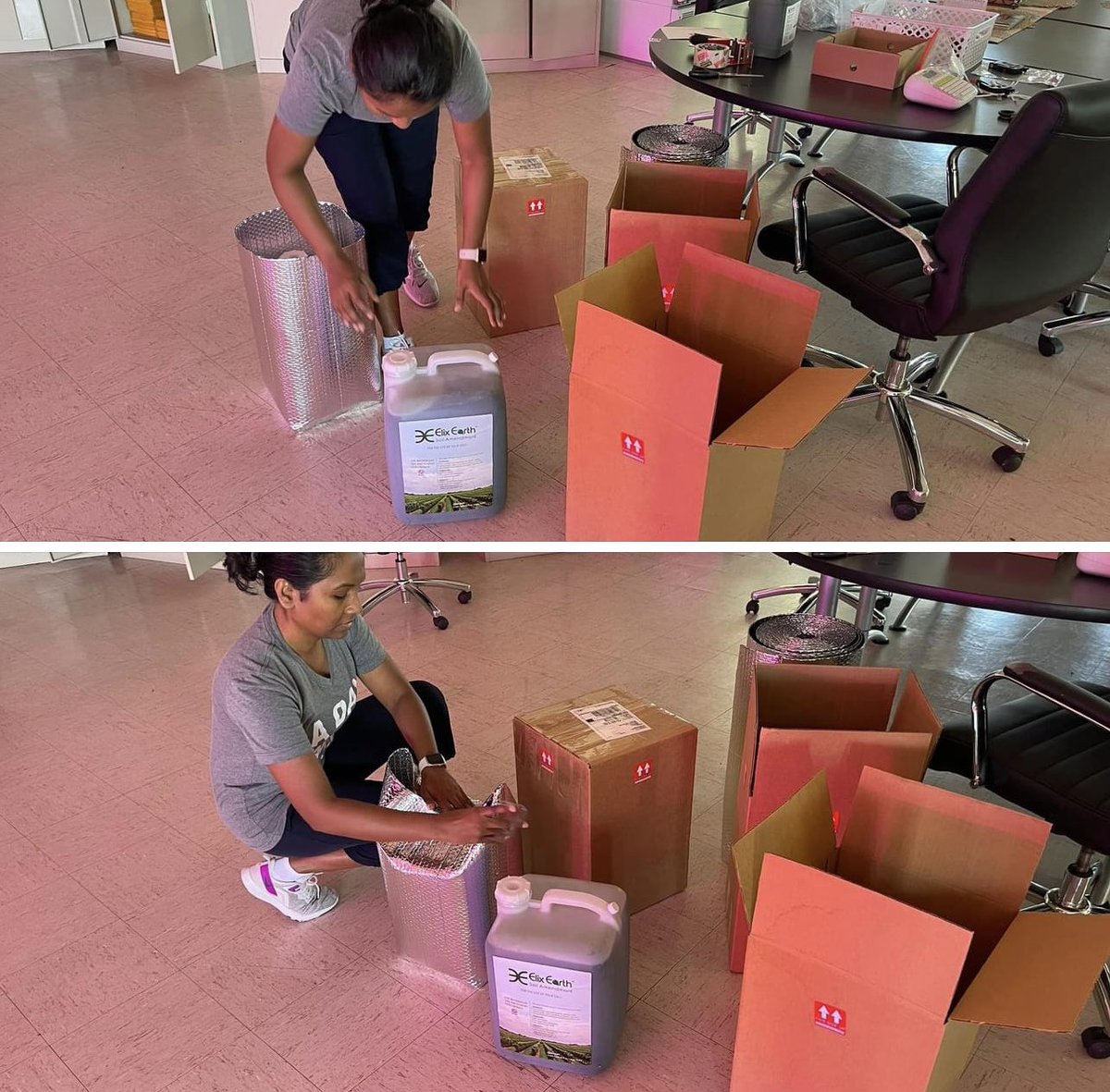 ElixEarth tweet media