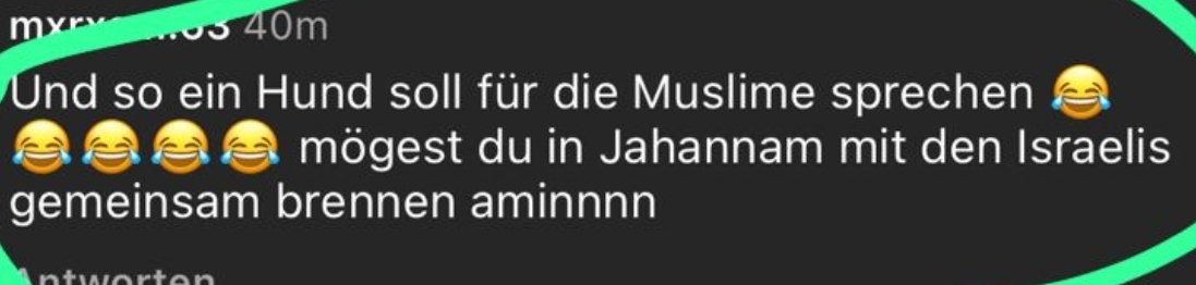 Eine kleine Auswahl von Kommentaren auf Instagram, wenn man als Muslim sagt "#Hamas ist eine Terrororganisation" ⬇️