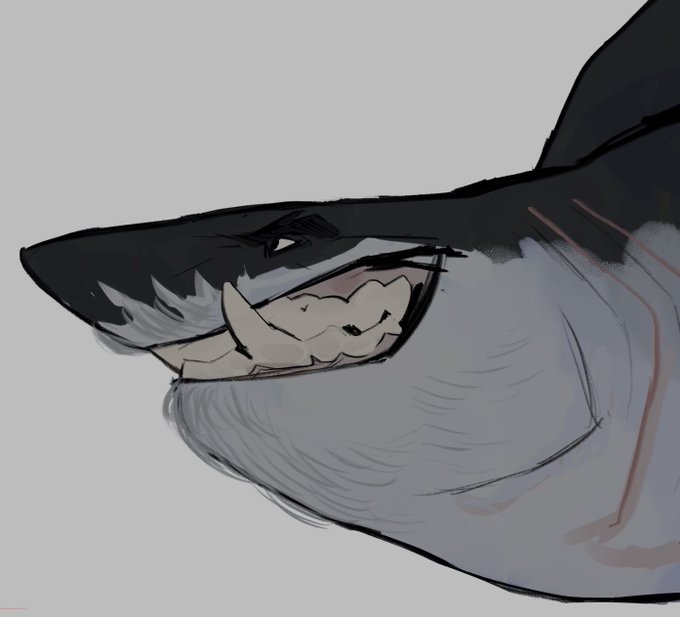 「black eyes shark」 illustration images(Latest)