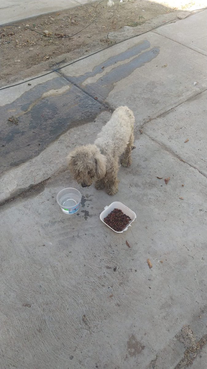 gllgina1's tweet photo. Se fueron y lo dejaron .. 🥹 pero hay un Dios que todo lo ve  .. todo triste https://t.co/XVmqkvqDn5