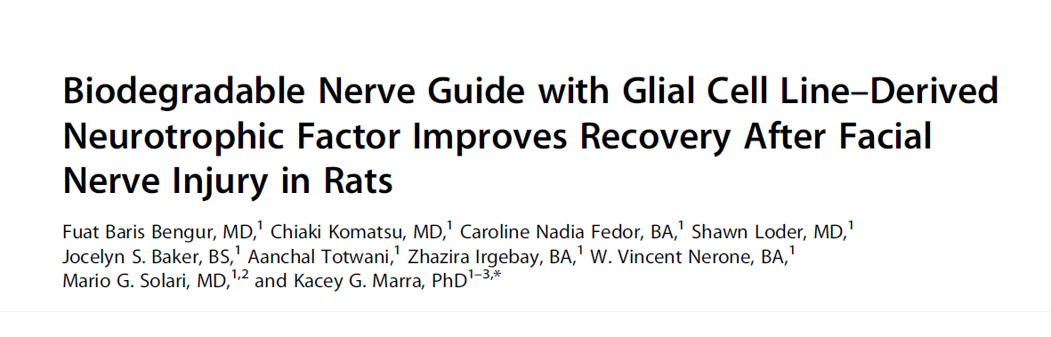 RepairNerve's tweet photo. New research examining the potential of NeuraMax in facial nerve repair:: Biodegradable Nerve Guide with Glial Cell Line–Derived Neurotrophic Factor Improves Recovery After Facial Nerve Injury in Rats | Facial Plastic Surgery &amp; Aesthetic Medicine https://t.co/GhEGH26My9 https://t.co/y645LeUtfh