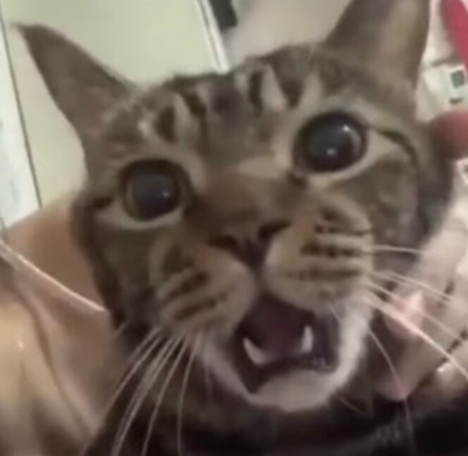 yung nag message ka sa crush mong wala na sa hqrp pero biglang nagreply.