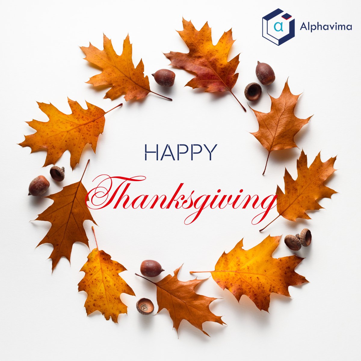 Happy Thanksgiving Everyone!!! 🎉 😍 Today, we gather with gratitude in our hearts to celebrate the blessings in our lives. 🍂Let's cherish the beauty of the bonds that tie us together. ❤️
.
.
#HappyThanksgiving #FamilyAndFriends #Alphavima