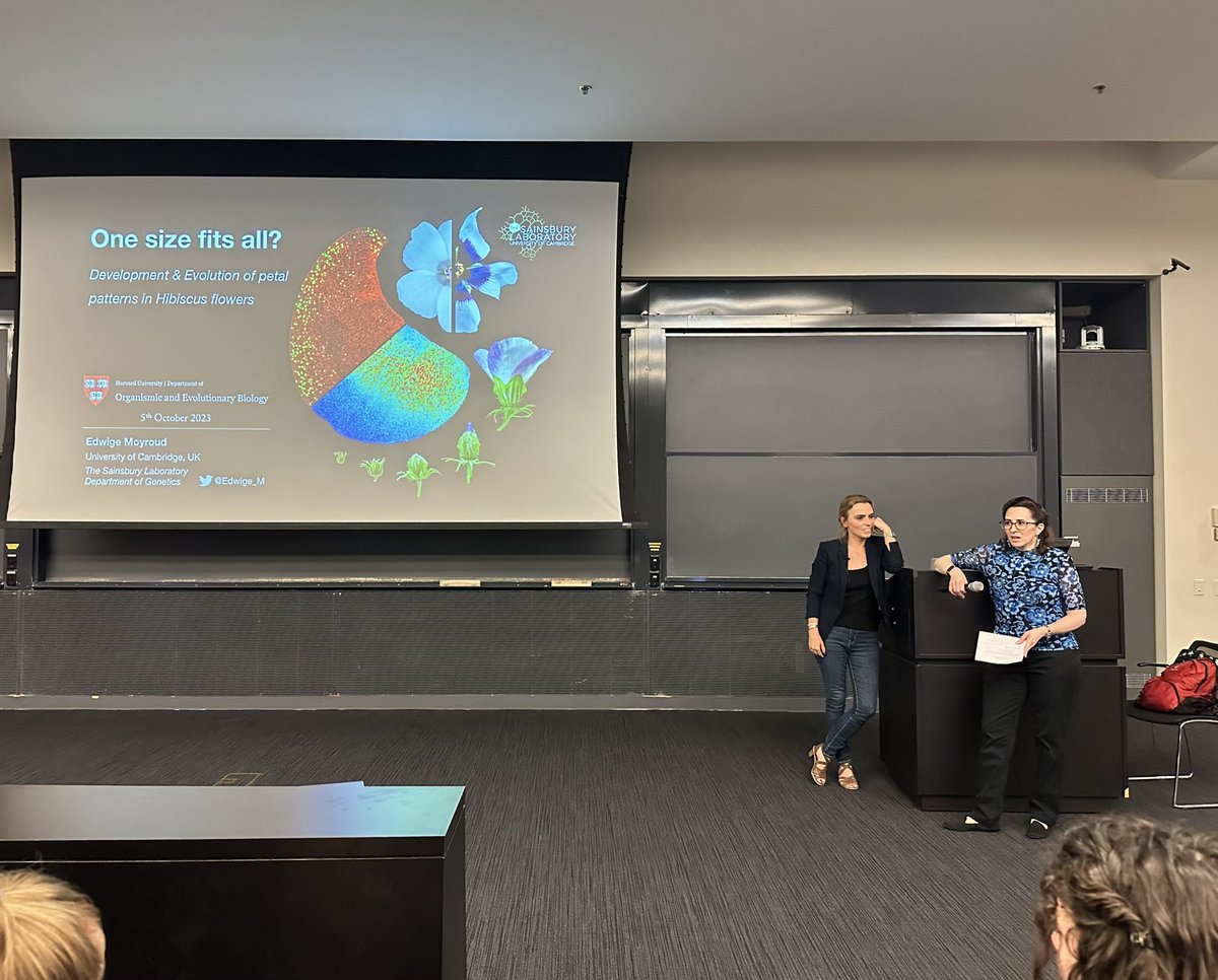 Yan Gong (龚䶮) (@yan_c_gong) on Twitter photo It was awesome to have <a href="/Edwige_M/">Edwige Moyroud</a> visiting the New England this week and hearing her talk about epidermal specialization in Hibiscus petals! It was awesome to see two generations of plant Evo-Devo scientists on the same stage. It was awesome to have <a href="/Edwige_M/">Edwige Moyroud</a> visiting the New England this week and hearing her talk about epidermal specialization in Hibiscus petals! It was awesome to see two generations of plant Evo-Devo scientists on the same stage.