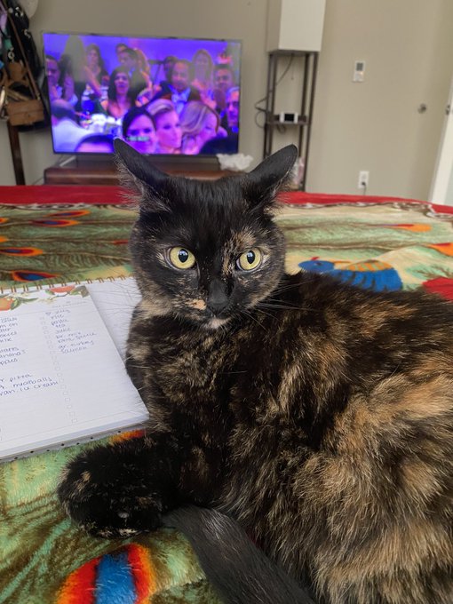 They&rsquo;re doing construction outside and she is NOT happy about it https://t.co/dOmBzIMgkj