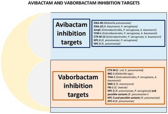 🆕️⚡️Ceftazidime/Avibactam and Meropenem/Vaborbactam for the Management of Enterobacterales Infections: A Narrative Review, Clinical Considerations, and Expert Opinion⚡️🆕️ #IDXposts 
mdpi.com/2079-6382/12/1…