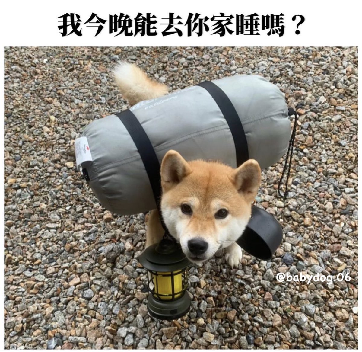 剛看到的梗圖
分享給大家😍 https://t.co/HJCbhMKk4k