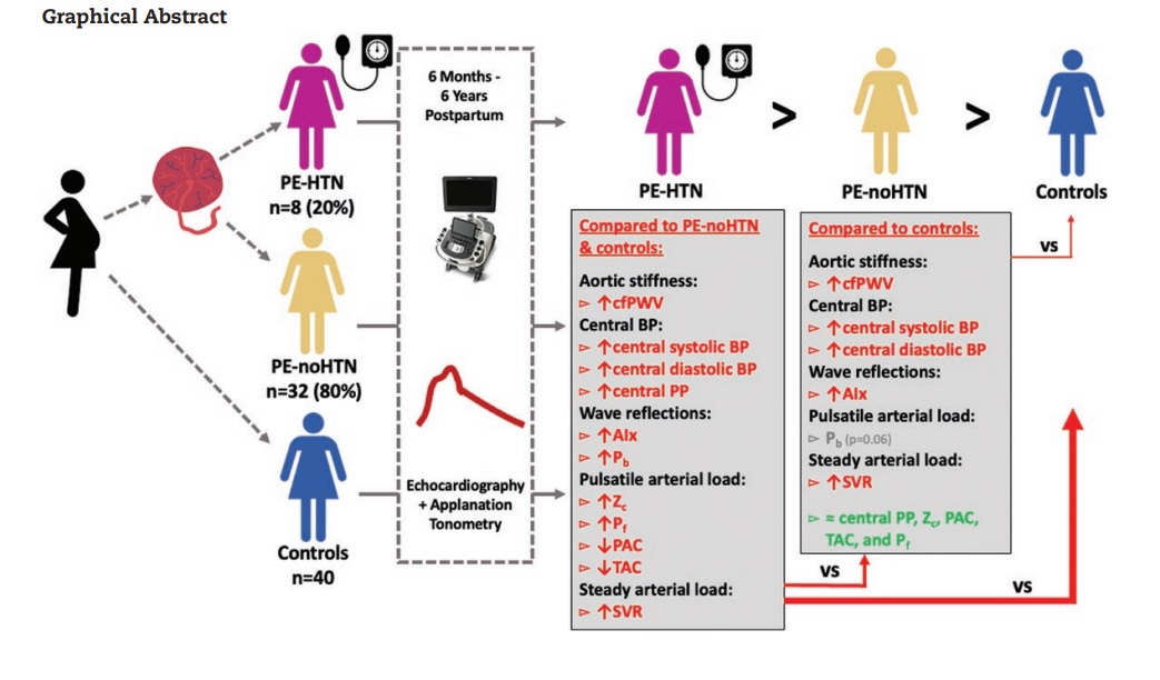 🌟Pub alert! While #preeclampsia (PE)⬆️CVD risk, how do we identify those ♀️whose arteries are already on a disease path? Led by @paquin_amelie ,we showed that PE ♀️who remain HTNsive have much worse arterial health, and may be prioritized for #CVPrev ➡️bit.ly/46pUBIK