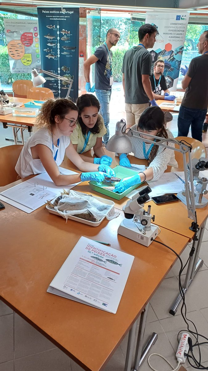 FishInvasionLab's tweet photo. 10th Fish Course of the Portuguese freshwaters. This year, we have 12 students on this week-long course  showing the different research projects #lifepredator @LvPeixes https://t.co/0pQTnO13Uq