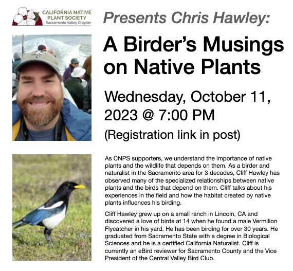 Hoping our X (Twitter) friends are doing well! We're proud to announce we will be hosting Chris Hawley for a talk about Sacramento's birds and their relationships to our native plants! To join, register at tinyurl.com/yc4aszbv