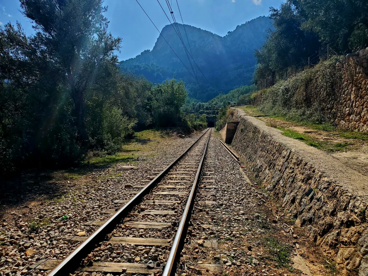 blonde_on_bikes's tweet photo. Soller Valley biking today. The map reading went a bit rogue 😳🤣 and ended up doing a pretty strenuous hike a bike 🥵🚴♀️☀️
#sollervalley #mountainbiking #navigationfail #bikingadventures #majorca https://t.co/53RyP77OXa