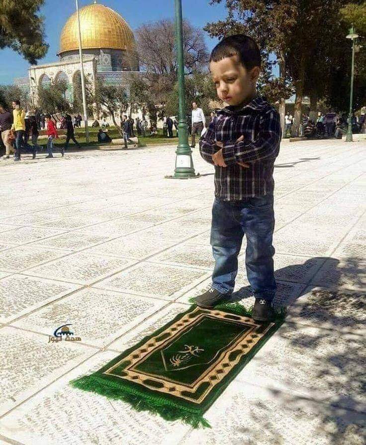 Umati20's tweet photo. الله اکبر ⁦☝️⁩

دا انځور به څوک ريټويټ کړئ؟

﴿رَبَّنَا أَفْرِغْ عَلَيْنَا صَبْرًا وَثَبِّتْ أَقْدَامَنَا وَانصُرْنَا عَلَى الْقَوْمِ الْكَافِرِينَ﴾ 🇵🇸♥️ https://t.co/lSBXiOHzZu