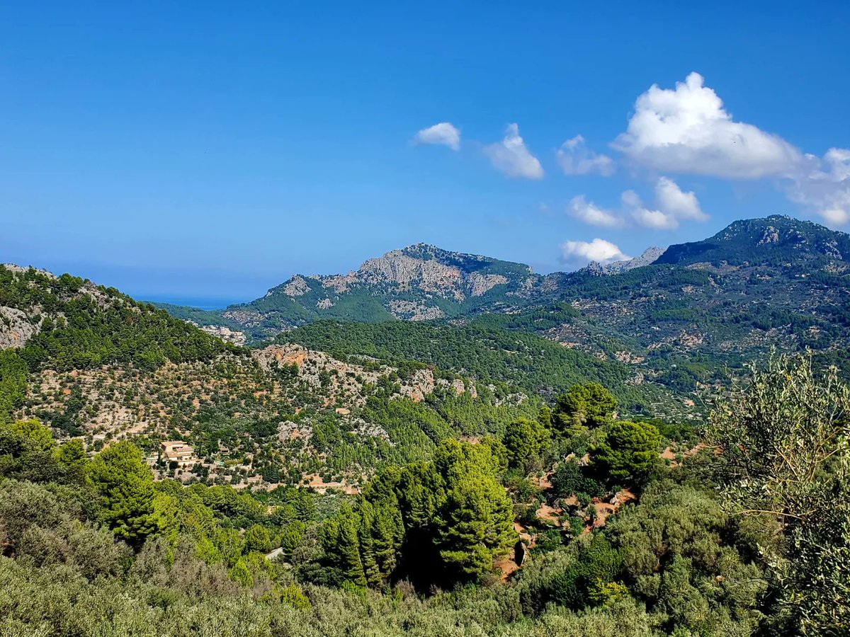 blonde_on_bikes's tweet photo. Soller Valley biking today. The map reading went a bit rogue 😳🤣 and ended up doing a pretty strenuous hike a bike 🥵🚴♀️☀️
#sollervalley #mountainbiking #navigationfail #bikingadventures #majorca https://t.co/53RyP77OXa