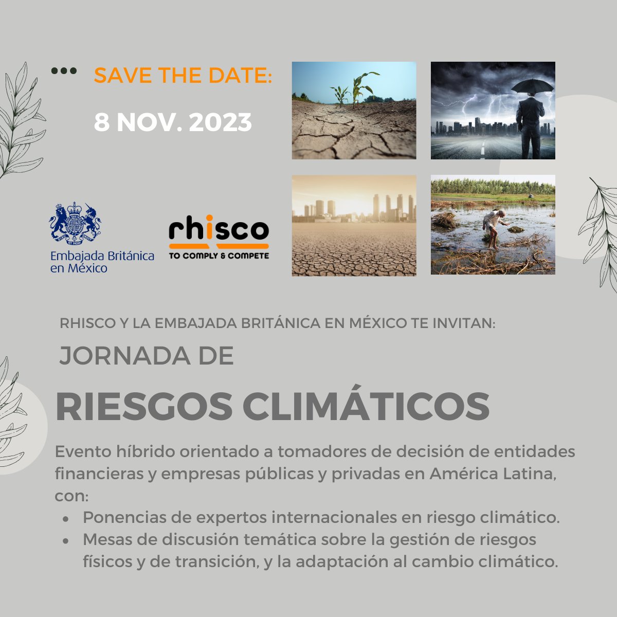 Rhisco Group tweet media