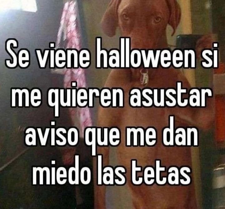 —Ya sabes lo que me da más miedo...

<a href="/haravatatpride/">‍ ‍ミ ‍𝔸𝙻𝙷𝙰𝙸𝚃𝙷𝙰𝙼.‍ ‍</a>