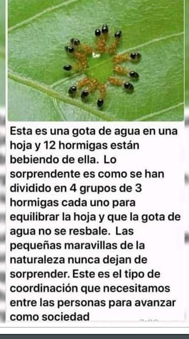 Unidad con el prójimo!
