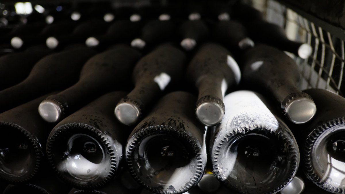 Creemos que en el Chardonnay la expresión del método Champenoise es plena. La conjunción de calidad de vinos bases, la particularidad del terroir del cual provienen las uvas y el tiempo de reposo sobre lías, revelan la complejidad en nariz y en boca presentes en este espumante.