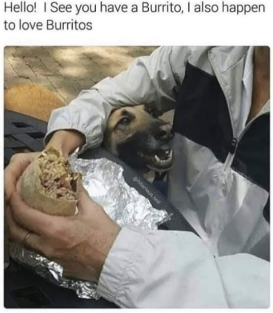 WholesomeMemes (@wholesomememe) on Twitter photo 