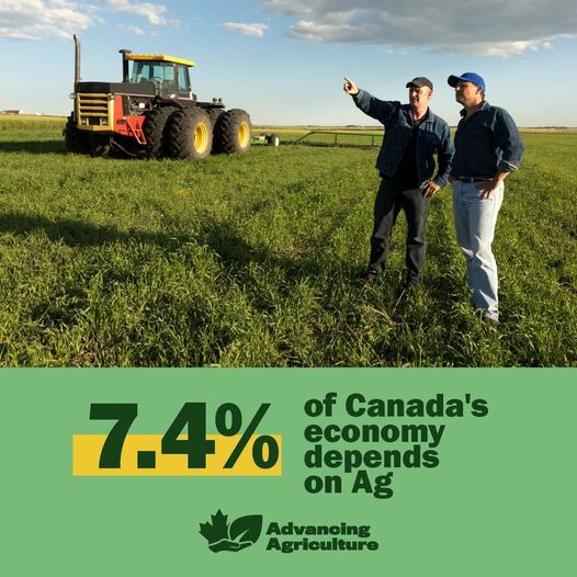Canadian farmers can grow more crops, more sustainably with the help of recent advancements in plant science innovations.
 
#AdvancingAgriculture
advancingagriculture.ca