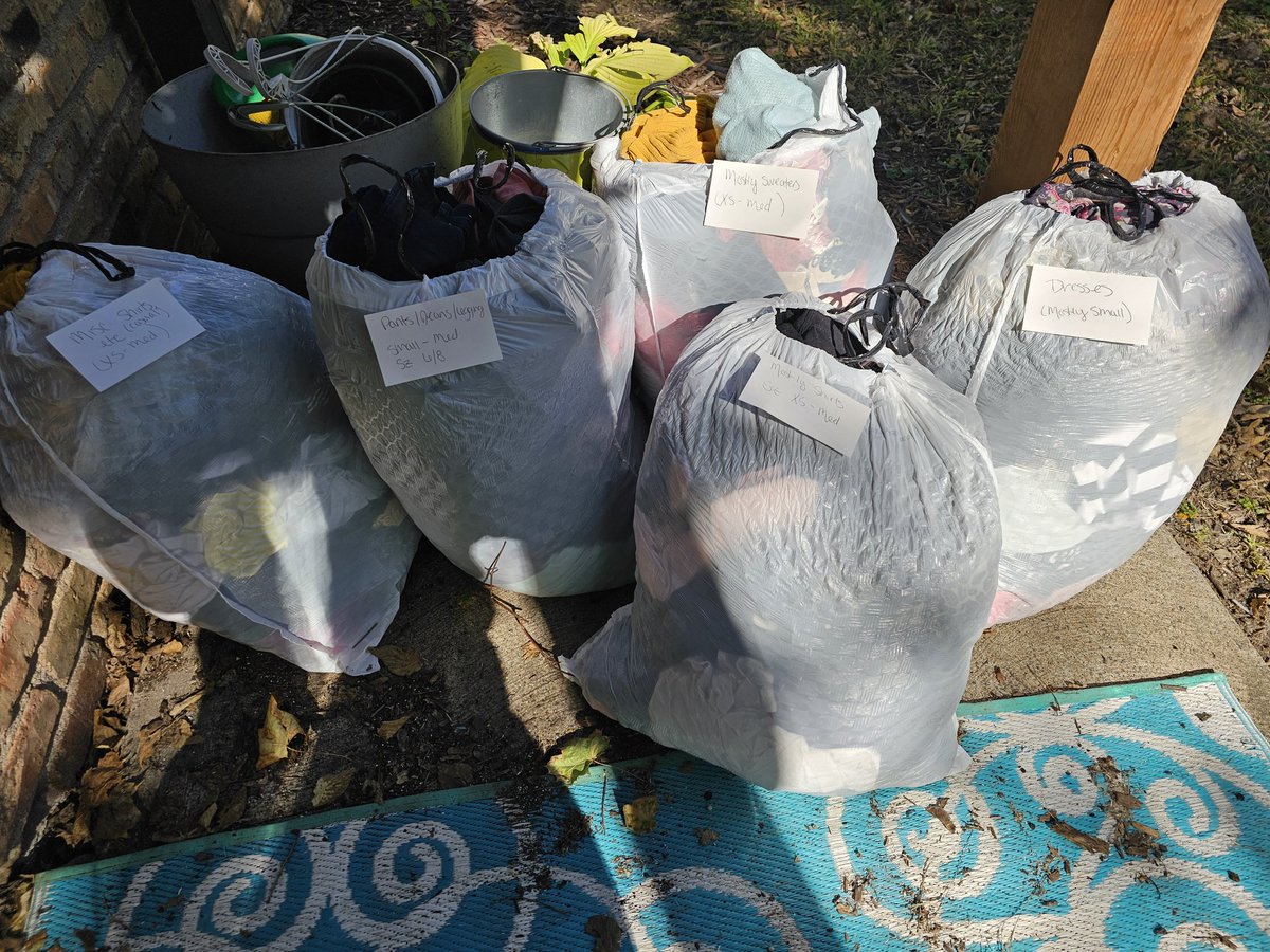 I have set out 5 bags of clothing so far for my neighborhood BuyNothing group, including one or two I threw away, and I still have way, way too much clothing.