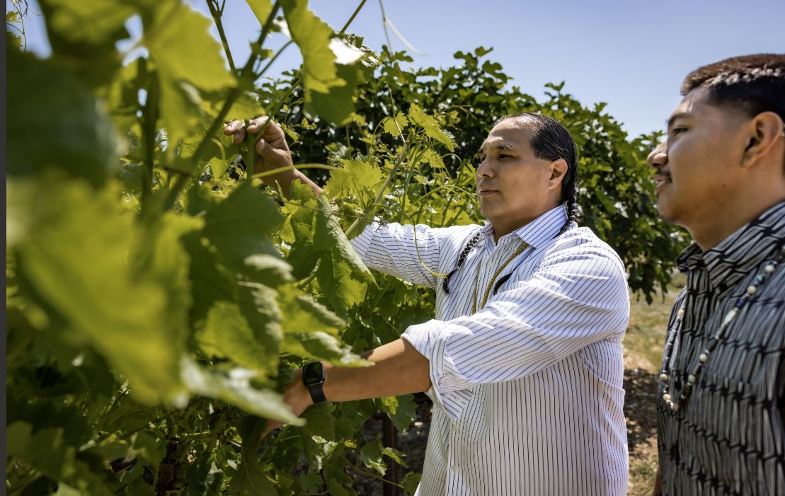 On #IndigenousPeoplesDay, we express our gratitude &amp; appreciation to the Indigenous people &amp; land on which our community colleges occupy. Learn about the systemwide land acknowledgment developed in partnership with CA Tribal Chairperson’ Association: cccco.edu/About-Us/land-….