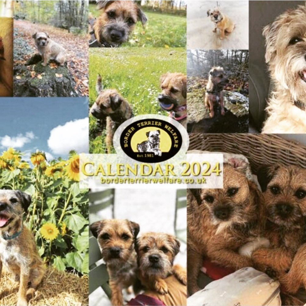 Time to start making plans for next year - the 2024 Border Terrier Welfare calendar has arrived! Click on the link to order online 😀🗓️

borderterrierwelfare.co.uk/shop/product/8…