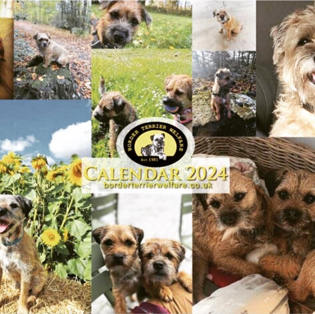 Time to start making plans for next year - the 2024 Border Terrier Welfare calendar has arrived! Click on the link to order online 😀🗓️ borderterrierwelfare.co.uk/shop/product/8…