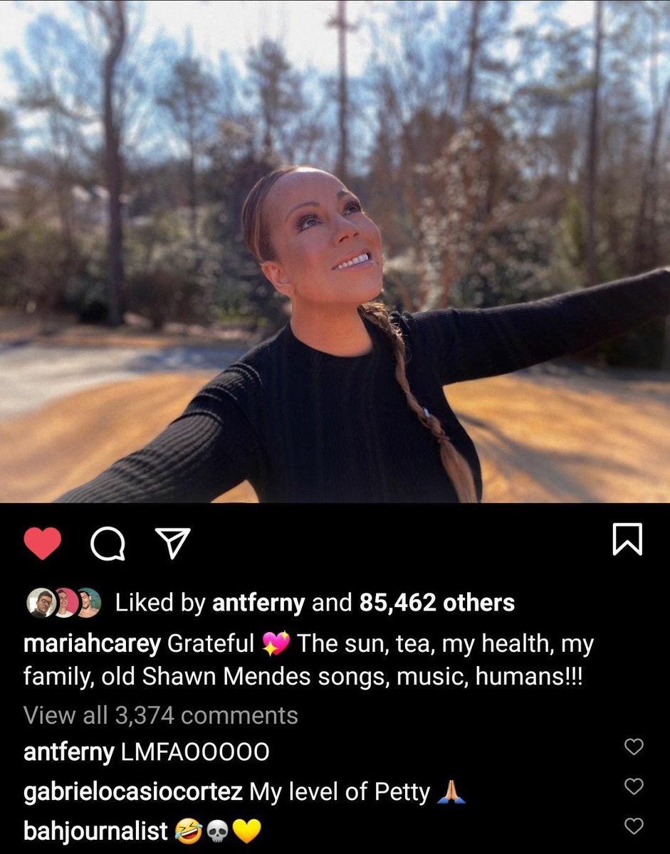 remember that time when mariah carey throws shade at shawn mendes 😭