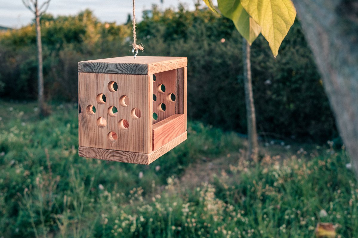 We designed a bird feeder with my son. Then made it, and we hung it with my daughter. Then I spent way too much time taking pictures of it.