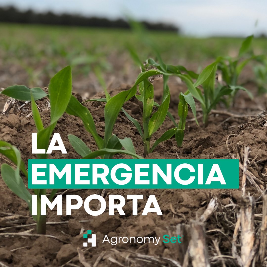AgronomySet's tweet photo. ¿Sabías que después de la nutrición, la #emergencia es el factor robador de rendimiento que más impacta en el #resultado de tu #cultivo?
Consultanos para conocer la tecnología Precision Planting y lograr una emergencia uniforme.
#AgronomySet #RíoCuarto #TemporadaDeSiembra https://t.co/e6BZhAMjVi
