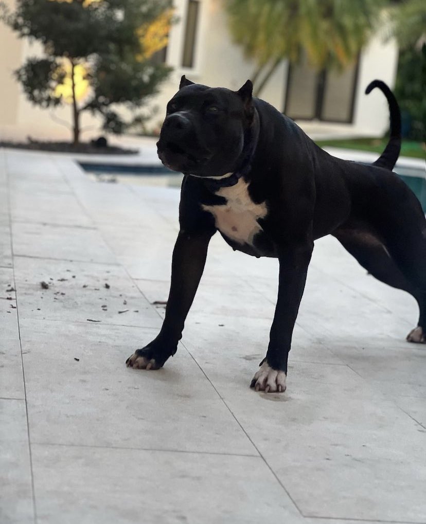 YourNEWS🩸 tweet media