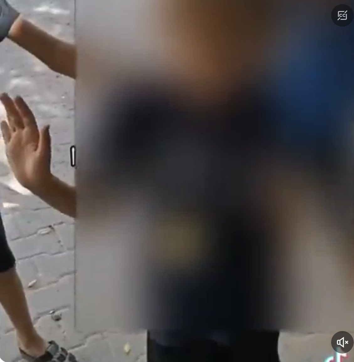 JulietMosesNZ's tweet photo. 7 October was the deadliest day for the Jewish people since the Holocaust, which we all carry in our collective memory. I keep thinking about the boy being held hostage in Gaza, being taunted with sticks and called “filthy Jew” and crying out for his Ima (mother), and then this. https://t.co/TT3dAR3Aip