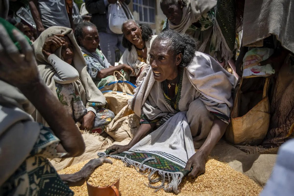 adomarti21's tweet photo. Day 193 of the suspension of food aid to #Tigray by the @WFP and @USAID. As a Result 1,329 genocide survivors has been died in Tigray after the peace deal.
#ResumeAid4Tigray #Justice4TigrayGenocide @USAID @PowerUSAID @WFP @WFPChief @ICRC @UKaid @UN https://t.co/DhpQ1JLCkT