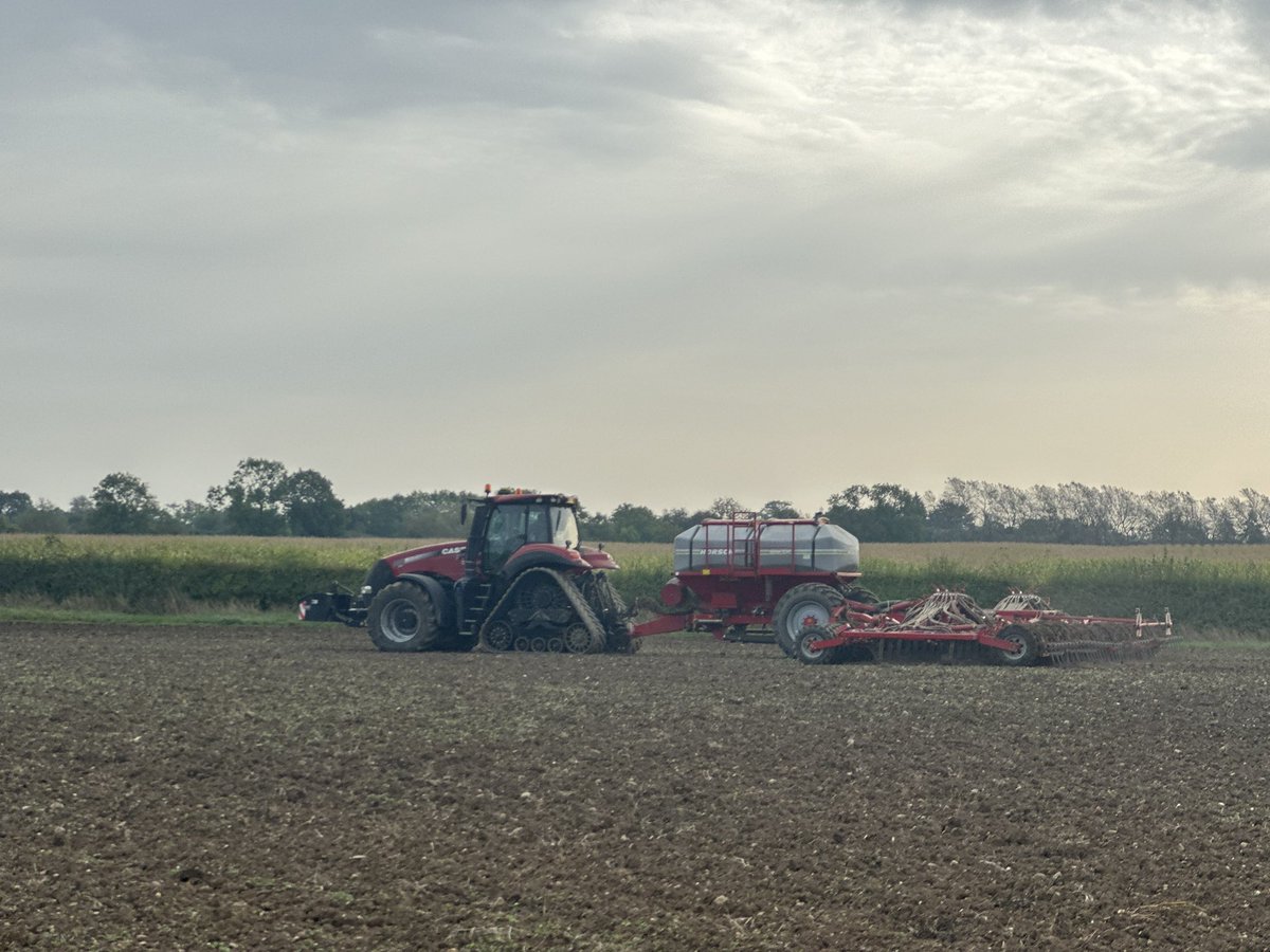 Stage 1 of wheat drilling complete. Winter beans to plant later this month, Grain maize 🌽 to harvest and winter wheat stage 2 to come…..