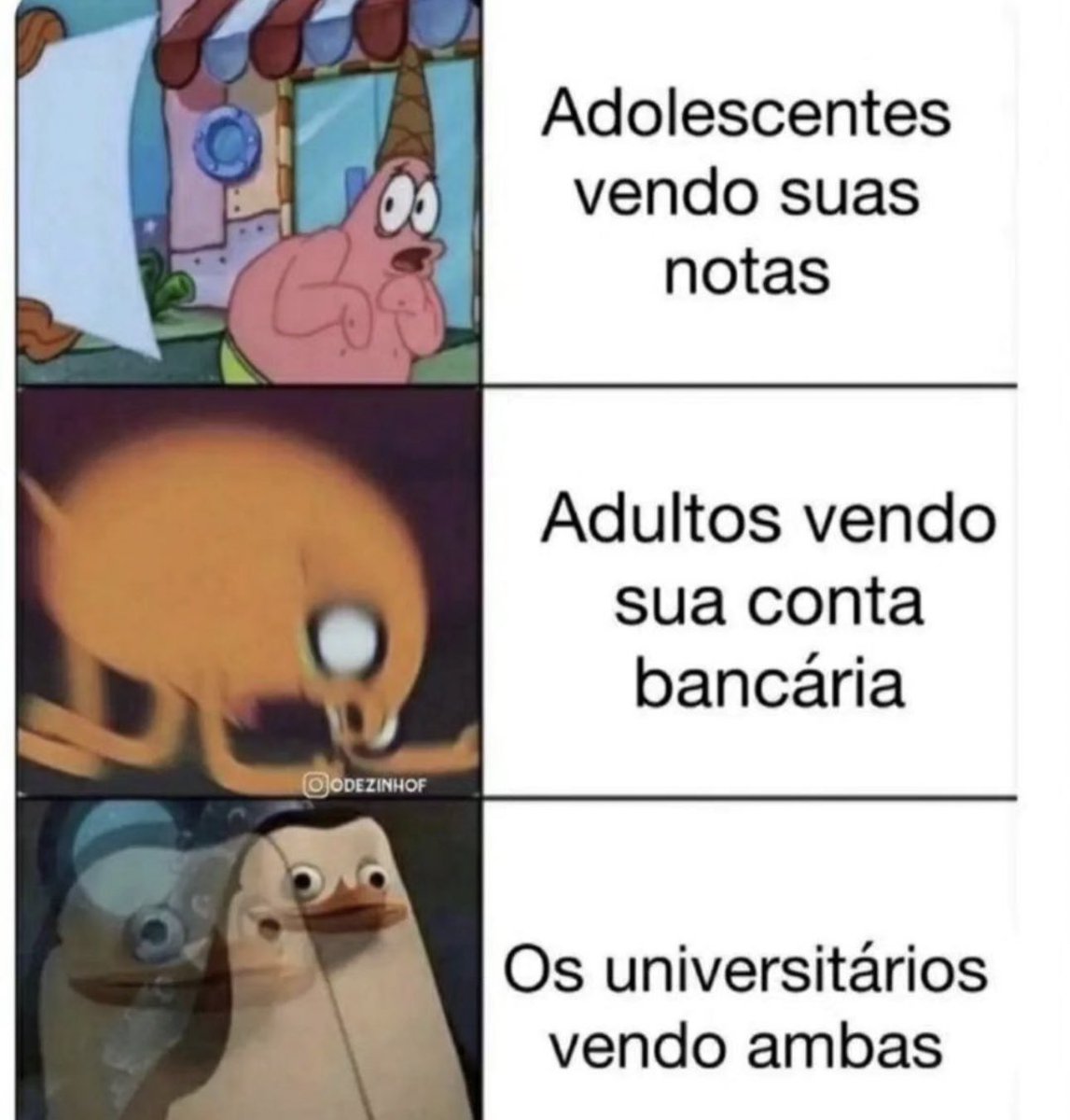 Shitpost só que de verdade (@shitpostverdade) on Twitter photo 2023-10-09 18:58:13