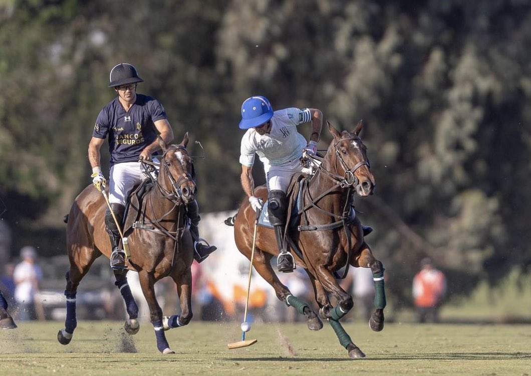 HURLINGHAM CLUB tweet media