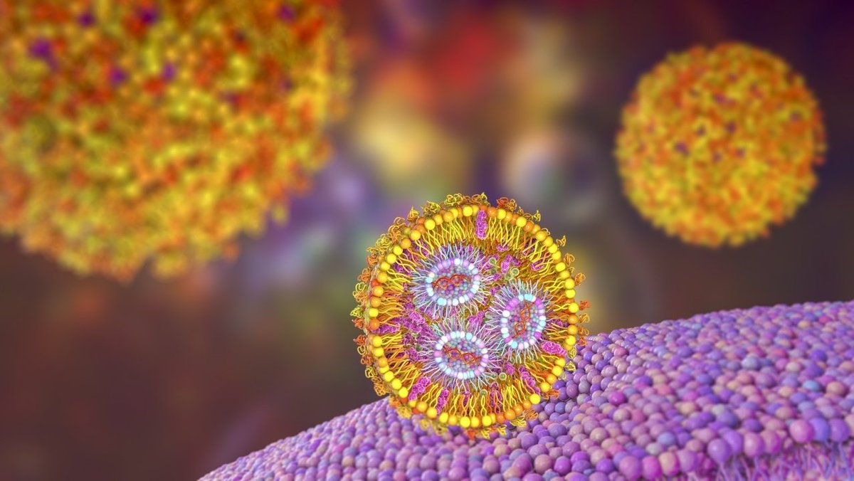 Greg Tikhomirov (@nanoassembly) on Twitter photo Happy 10^-9 Nano Day!
Get $10^4 USD to do the nano you want with a 3-page proposal.
Deadline November 1
Enabled by our lab and <a href="/NSF/">U.S. National Science Foundation</a> Happy 10^-9 Nano Day!
Get $10^4 USD to do the nano you want with a 3-page proposal.
Deadline November 1
Enabled by our lab and <a href="/NSF/">U.S. National Science Foundation</a>