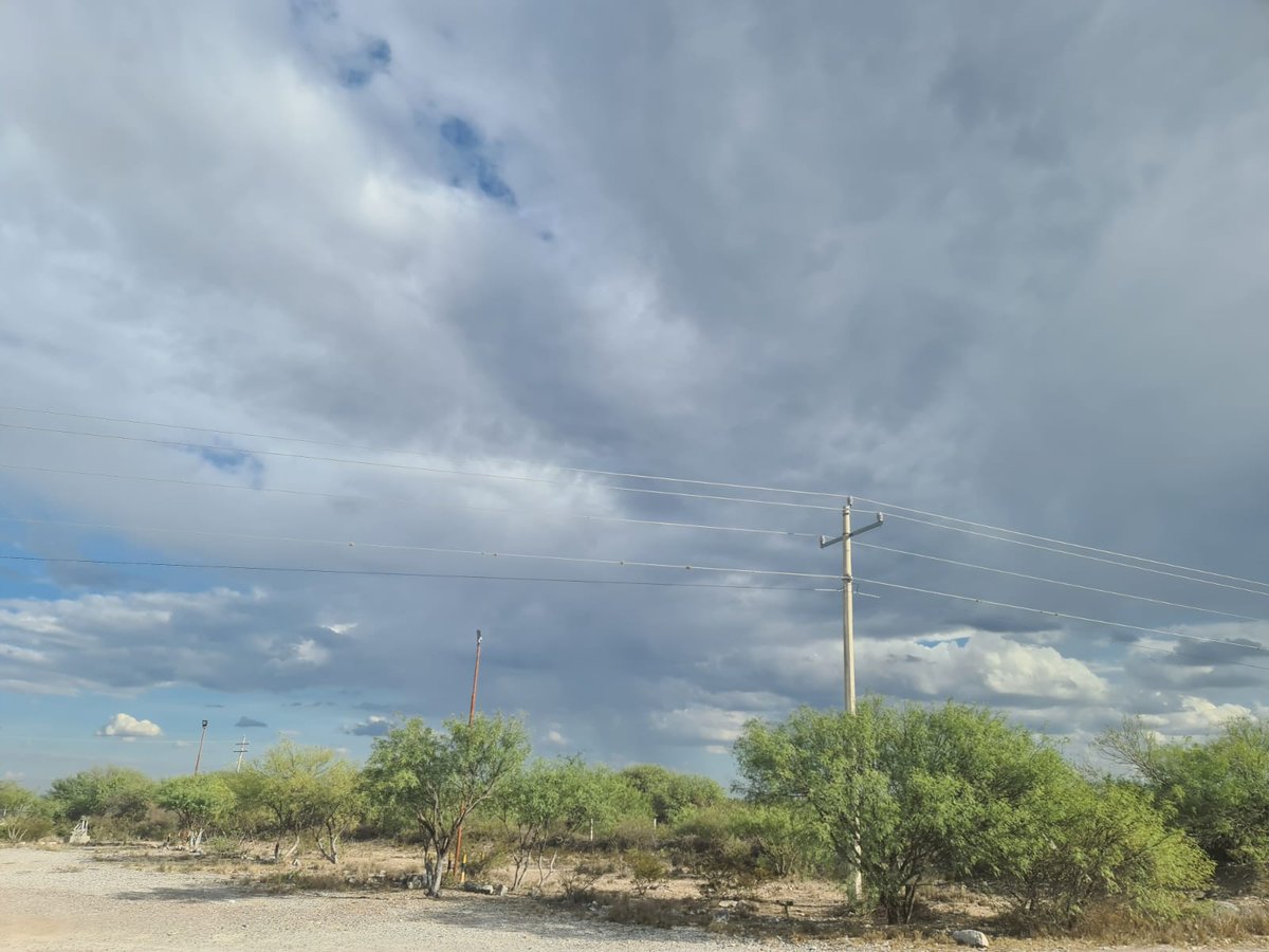 AntenaSanLuis's tweet image. #Gobierno | Con apoyo del Estado, reduce la #afectación en la #Huasteca por la #sequía

Con el programa de estimulación de agua de lluvia, así como construcción y reparación de ollas y bordos de abrevadero se favorecerá a los sectores cañero y ganadero -&amp;gt; antenasanluis.mx/con-apoyo-del-…