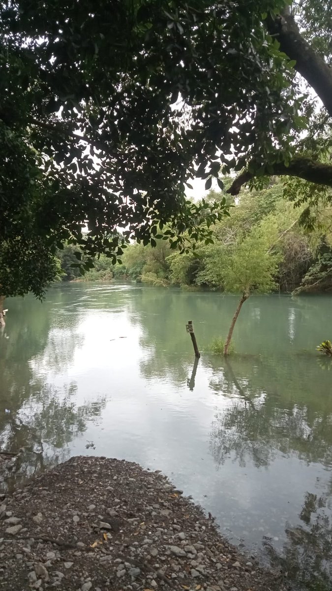 AntenaSanLuis's tweet image. #Gobierno | Con apoyo del Estado, reduce la #afectación en la #Huasteca por la #sequía

Con el programa de estimulación de agua de lluvia, así como construcción y reparación de ollas y bordos de abrevadero se favorecerá a los sectores cañero y ganadero -&amp;gt; antenasanluis.mx/con-apoyo-del-…