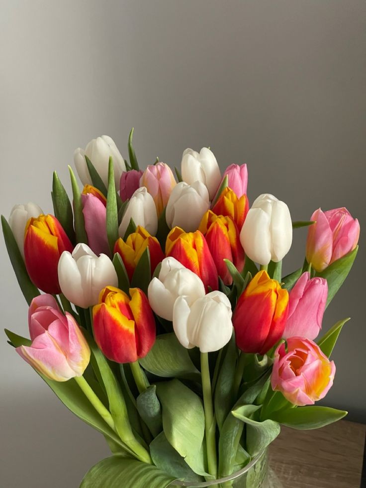 Exulansista's tweet image. tulips