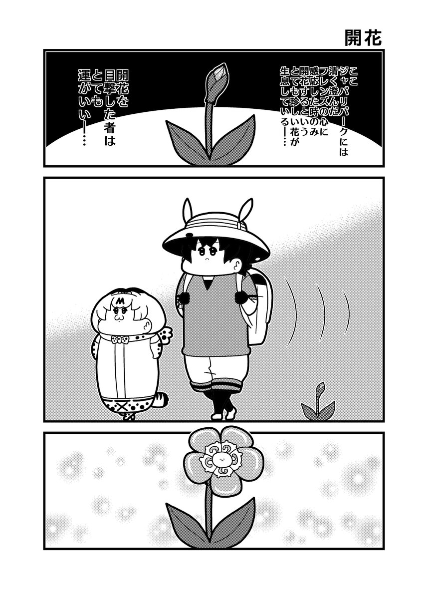 「開花」 #けものフレンズ