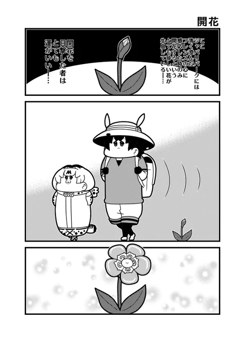 「開花」 #けものフレンズ