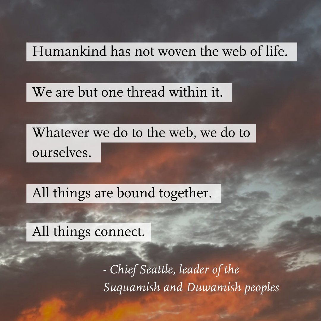 We honor the interconnectedness of all creation and commit to lifting up the ones who have been harmed by white supremacy and greed #IndigenousPeoplesDay