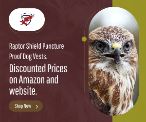 Raptor Shield Inc. - Protective Vests For Your Dogs