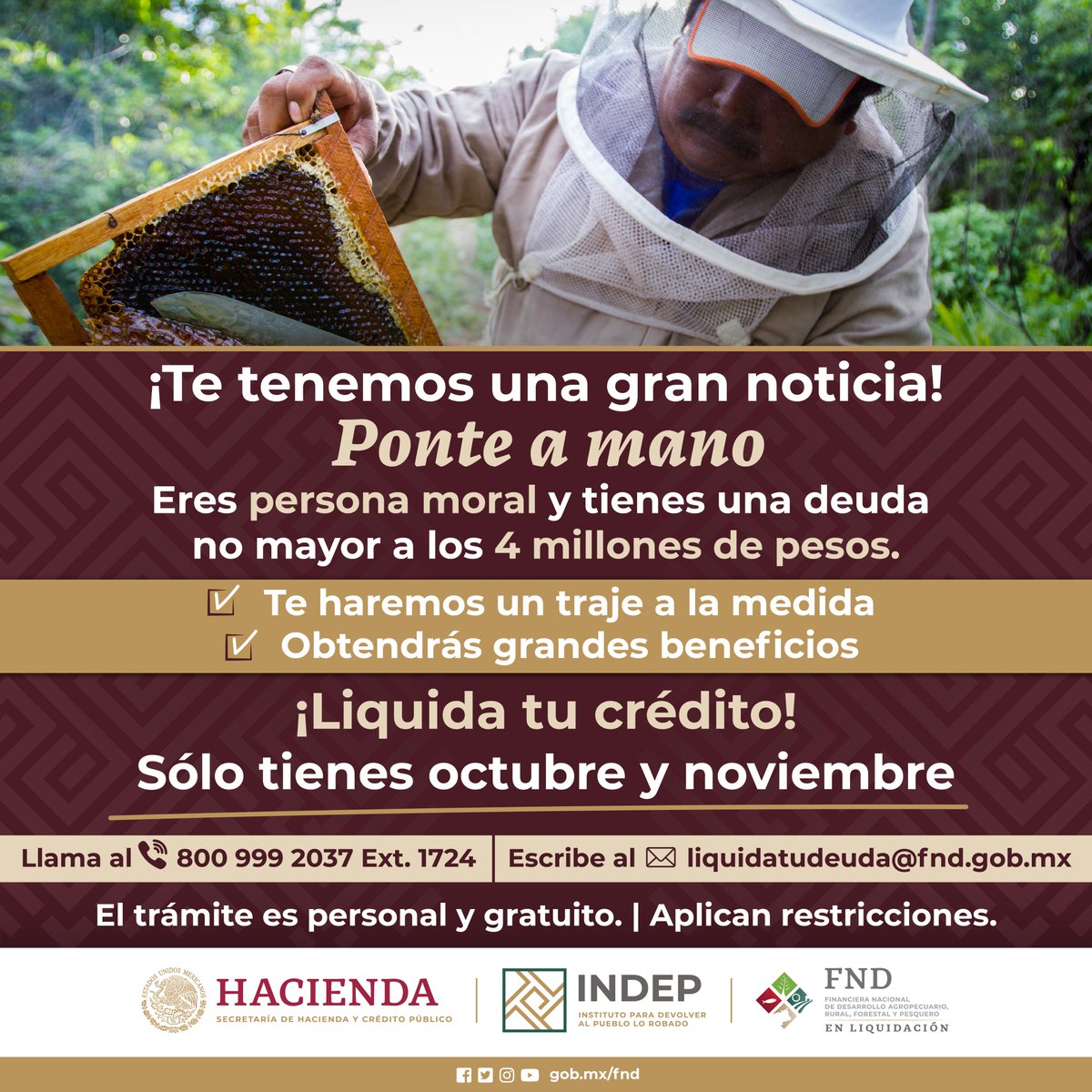 FNDMX's tweet photo. Fuiste acreditado de la FND en Liquidación, eres persona moral y tu deuda no es mayor a los 4 millones de pesos. 🏭
Te echamos la mano 🤝
Te haremos un traje a la medida. 👔
Llámanos o escríbenos.
Aplican restricciones. 🔴
#FNDteapoya #PonteAMano #personamoral https://t.co/SlXNG2sMTj