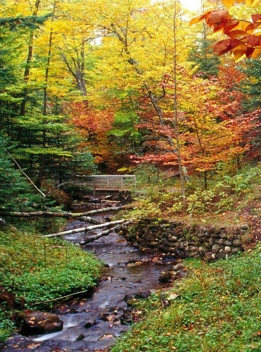Autumn bridge over small stream in Vermont, US