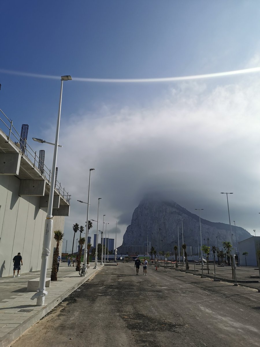 Adam Weidenthaler tweet media