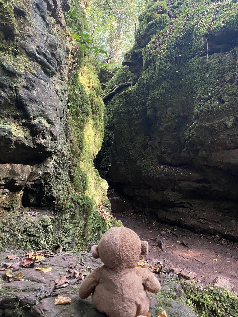 GpSmnky's tweet photo. Day trip to @PuzzlewoodFOD today.  Great sunny day on a random USA 🇺🇸 bank holiday as they call them here in the uk 🇬🇧 https://t.co/TuRpQIuu9v